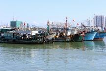 19 tàu cá bị đưa vào diện "mất tích"