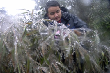 Sa Pa lại xuất hiện băng tuyết