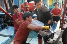 Bình Định: Ngư dân “đỏ mắt” tìm bạn thuyền vươn khơi