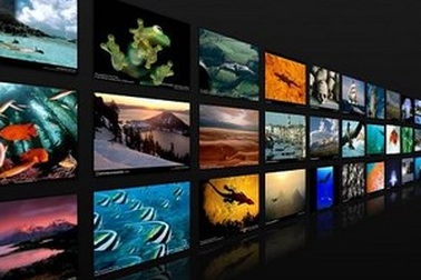 Tạo video slideshow trình diễn ảnh đẹp mắt với hiệu ứng chuyên nghiệp