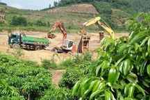 Bắc Giang: Cát tặc lộng hành, “băm nát” suối Ba Cô