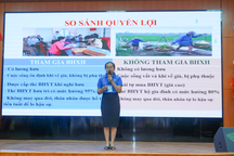 4 lao động trong độ tuổi mới có 1 người tham gia BHXH bắt buộc