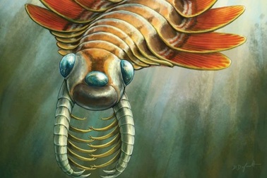 Quái vật 3 mắt từng tung hoành đại dương cách đây 500 triệu năm