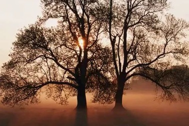 Kenny G - Going Home