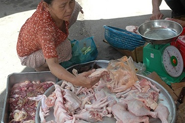 Gà ngoại hết thời, biến thành… gà nội 