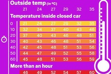 Bé 4 tuổi qua đời sau hơn 7 tiếng bị bỏ quên trong ô tô