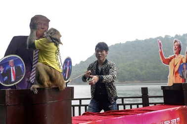 “Hầu vương” Trung Quốc đoán Donald Trump đắc cử tổng thống Mỹ