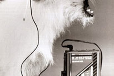 Walkman đón sinh nhật lần thứ 30 