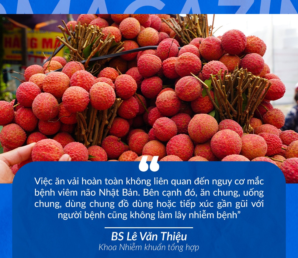 Giải mã căn bệnh nguy hiểm từ Nhật Bản khiến quả vải bị vu oan - 13 Giải mã căn bệnh nguy hiểm từ Nhật Bản khiến quả vải bị vu oan - 13