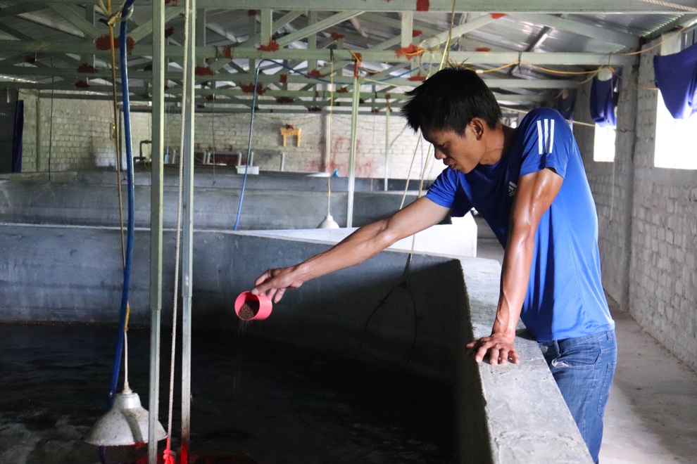 Câu chuyện khởi nghiệp của chàng kỹ sư với 4.000 con cá chình - 1 Câu chuyện khởi nghiệp của chàng kỹ sư với 4.000 con cá chình - 1