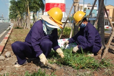 25 doanh nghiệp công ích sẽ được cổ phần hóa