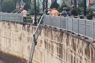 Ô tô mất lái tông đổ lan can, lao xuống sông Đồng Nai