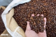 Giá nông sản hôm nay 6/9: Cà phê tăng mạnh, heo hơi lên 60.000 đồng/kg