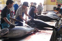 Bộ LĐ-TB&XH: Hướng dẫn người lao động đi làm việc tại Thái Lan theo hợp đồng