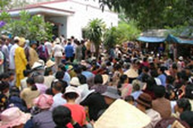 Khu vườn lạ ở Long An không chữa được bệnh