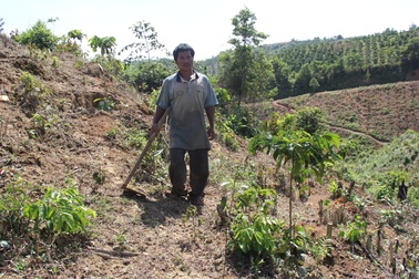 Nghịch lý ổn định dân cư tại Đắk Nông: từ dân định cư trở thành dân di cư