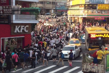 Clip “khung cảnh hỗn loạn vì chơi Pokemon Go” nổi bật nhất tuần qua