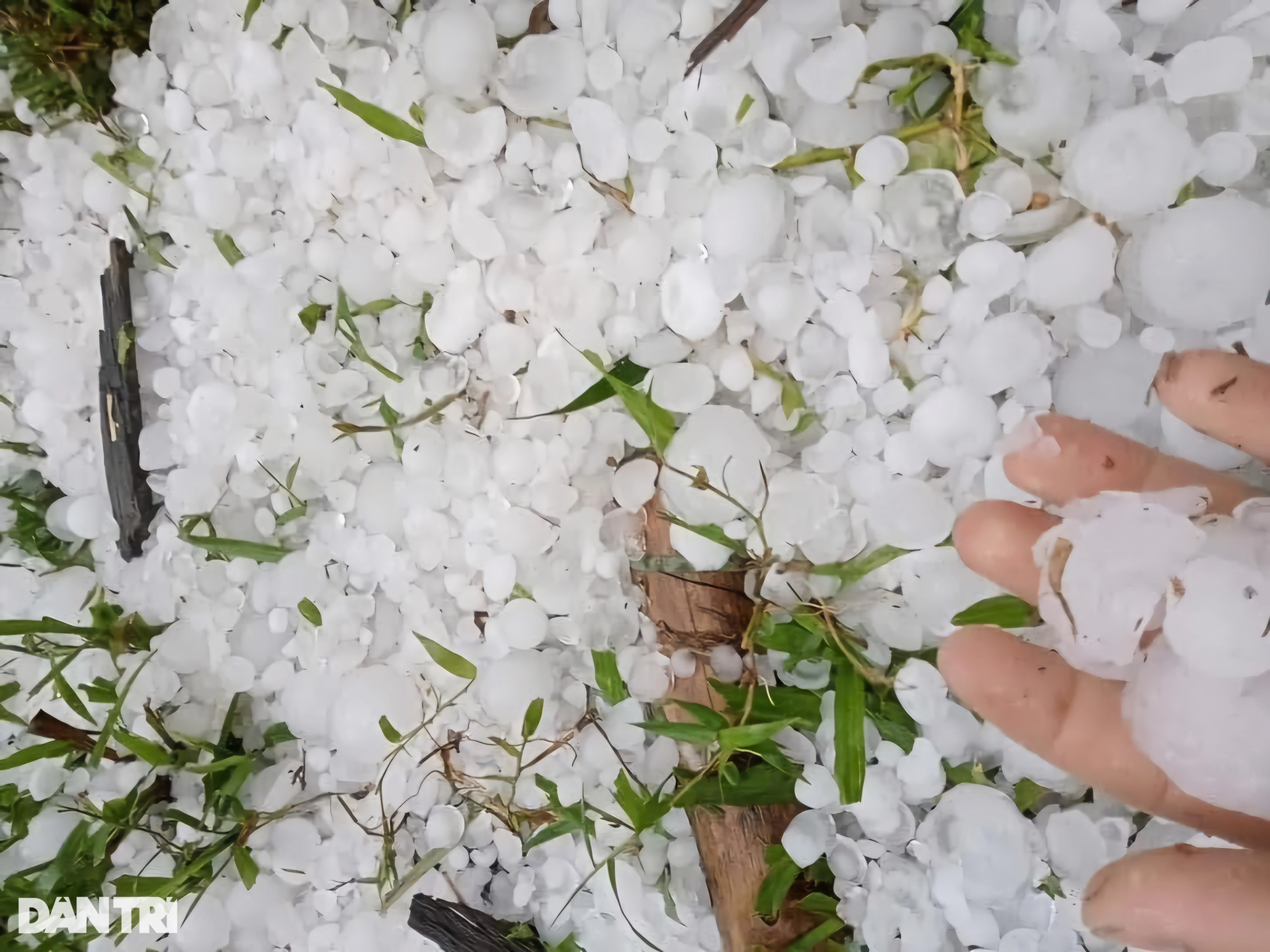 Lốc xoáy làm sập nhà, mái tôn bay lên cột điện ở huyện biên giới Nghệ An - 1 Lốc xoáy làm sập nhà, mái tôn bay lên cột điện ở huyện biên giới Nghệ An - 1
