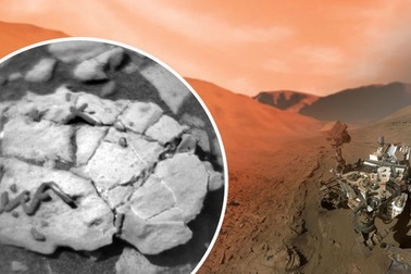 Xe tự hành của NASA phát hiện hóa thạch độc nhất trên Sao Hỏa