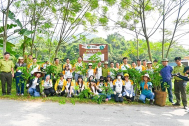 Thêm nhiều cây mới được trồng từ chiến dịch "Góp xanh Việt Nam"