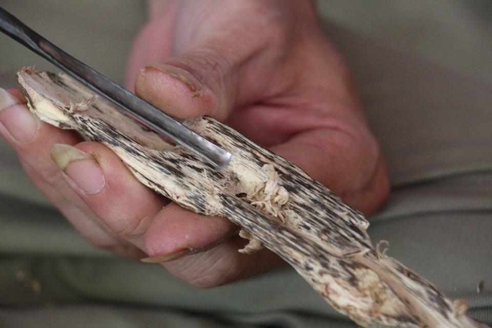 Hà Tĩnh: Về “thủ phủ” cây gió trầm xem lấy trầm hương - 15