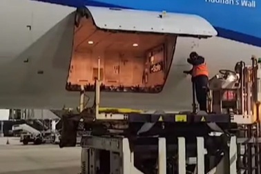 Máy bay chở lợn hôi thối nồng nặc, 295 người phải hạ cánh khẩn cấp