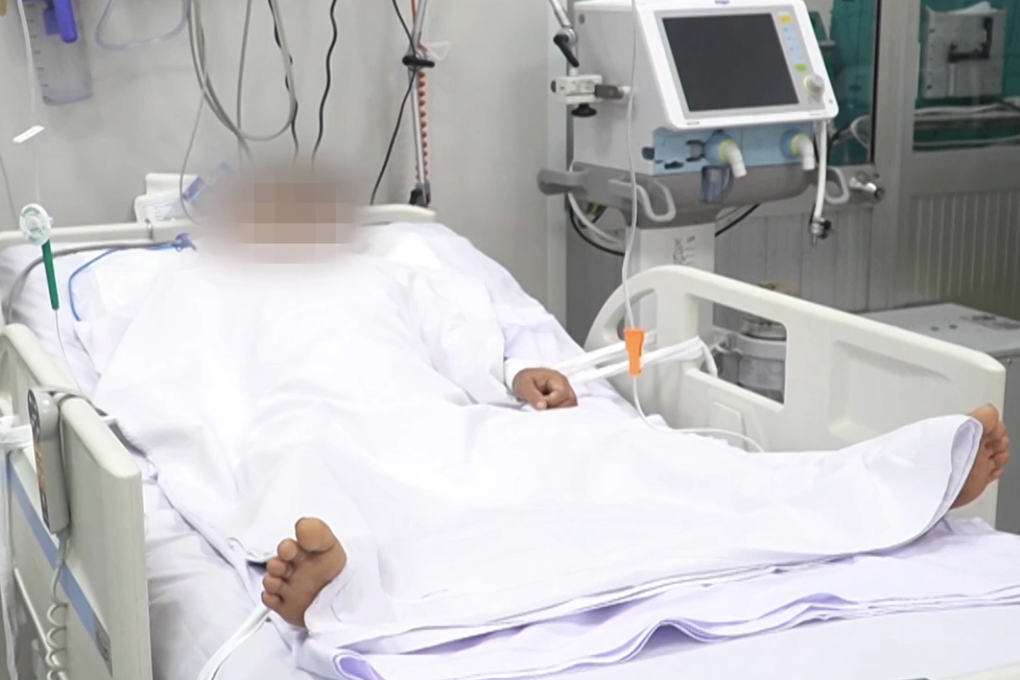 Hái nấm xào ăn: Chồng tử vong, vợ con nguy kịch phải cấp cứu ở TPHCM - 1 Hái nấm xào ăn: Chồng tử vong, vợ con nguy kịch phải cấp cứu ở TPHCM - 1