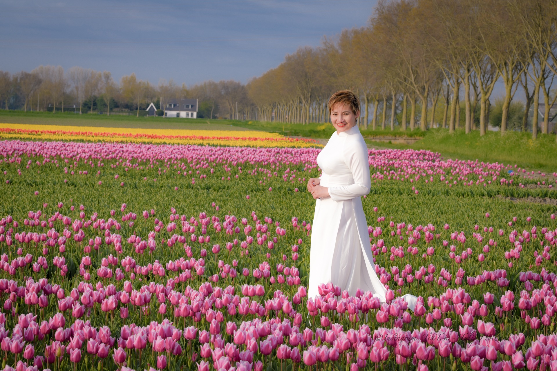 Mãn nhãn cánh đồng hoa tulip đẹp như cổ tích ở ngôi làng cổ 400 tuổi - 16 Mãn nhãn cánh đồng hoa tulip đẹp như cổ tích ở ngôi làng cổ 400 tuổi - 16