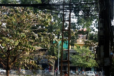 Gặp người nhện giữa thủ đô