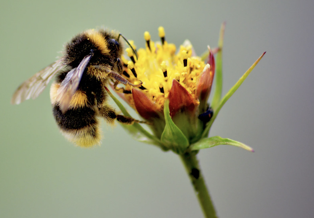 Vòng xoáy kép “tận diệt” những lao động thầm lặng của nền kinh tế tỷ đô - 2 Vòng xoáy kép “tận diệt” những lao động thầm lặng của nền kinh tế tỷ đô - 2