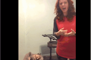 Hài hước hai chú chó đáng yêu hát song ca với cô chủ