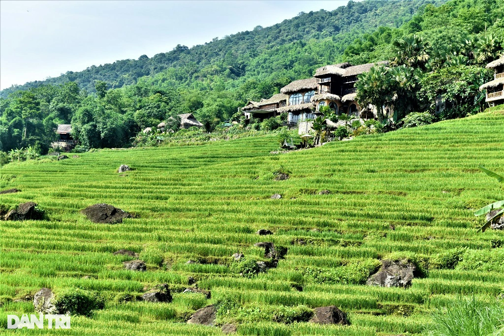 Vẻ đẹp hút hồn ở Pù Luông nơi được mệnh danh là thiên đường giữa đại ngàn - 6 Vẻ đẹp hút hồn ở Pù Luông nơi được mệnh danh là thiên đường giữa đại ngàn - 6