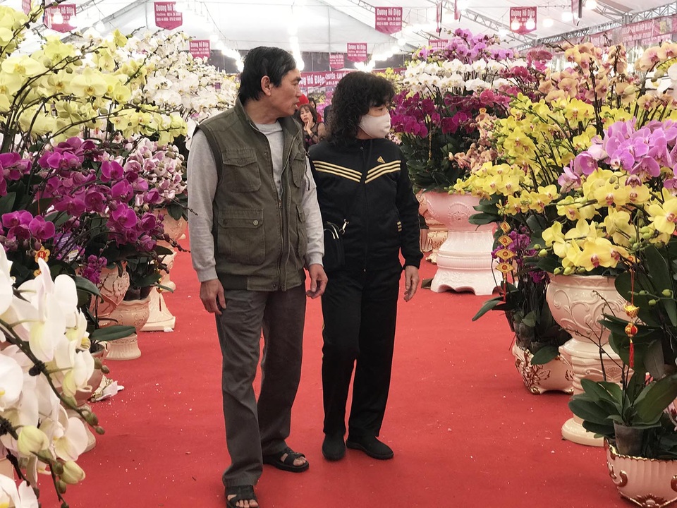 Bỏng tay với chậu lan Hồ điệp giá 165 triệu đồng cho đại gia chơi Tết - 5 Bỏng tay với chậu lan Hồ điệp giá 165 triệu đồng cho đại gia chơi Tết - 5
