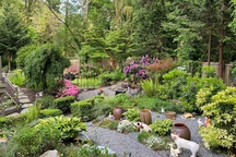 Mẹ Việt trổ tài làm vườn ở trời Tây: Đầy ắp rau sạch, sum suê cây trái