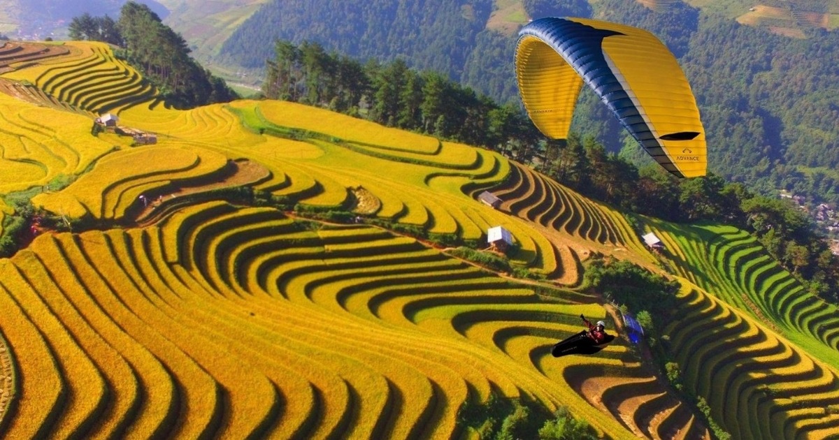 Bay dù lượn ngắm lúa chín Mù Cang Chải Yên Bái | Báo Dân trí