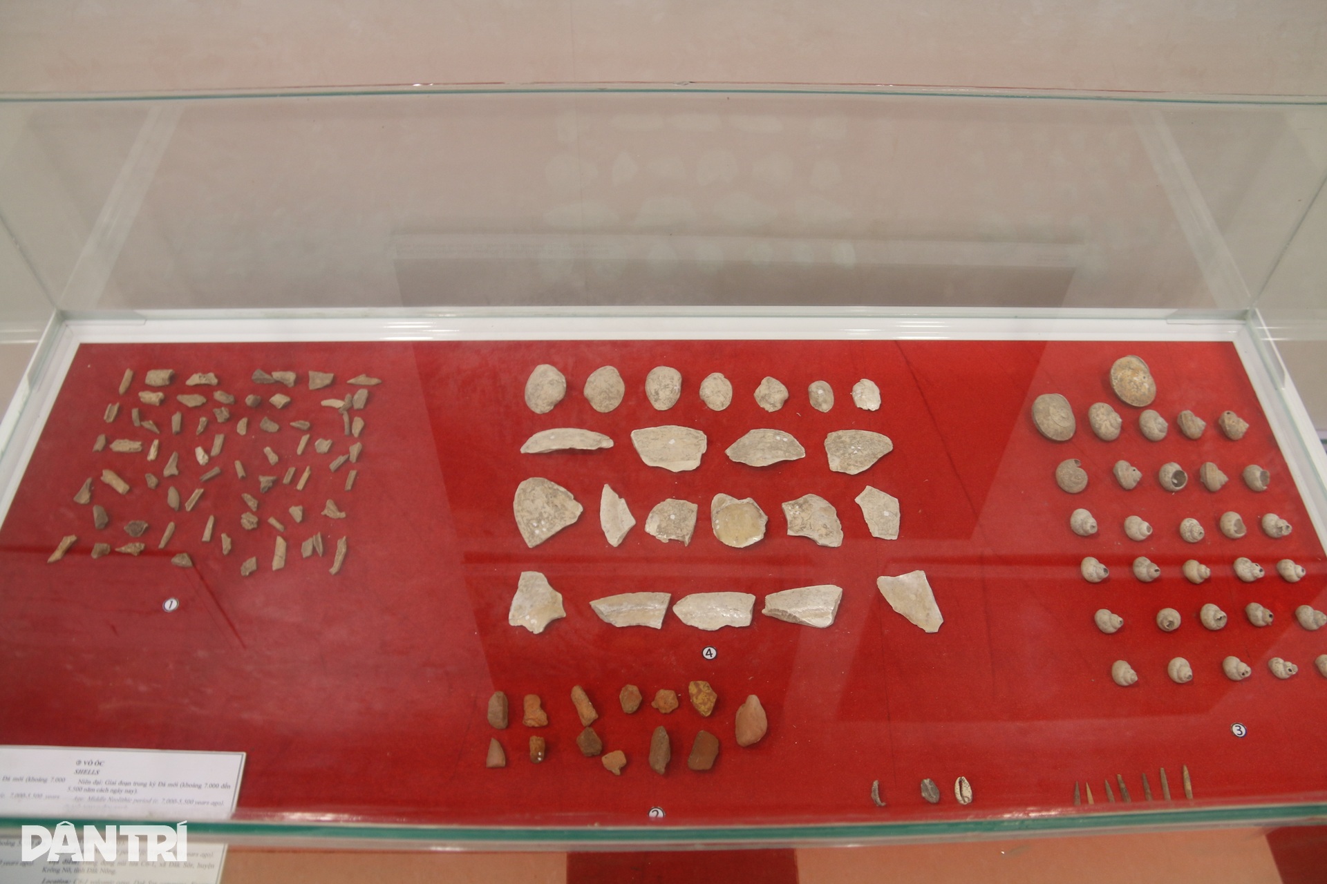 Cảnh đẹp kì vĩ bên trong hang núi lửa dài nhất Đông Nam Á nằm ở Việt Nam - 14