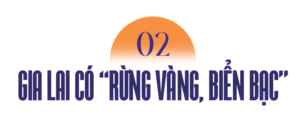 Gia Lai bứt phá từ 5 trụ cột, 4 khâu đột phá mới - 5 Gia Lai bứt phá từ 5 trụ cột, 4 khâu đột phá mới - 5