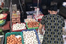 Tránh dịch, khách mua... 250 quả trứng vịt lộn, người bán đếm còng lưng