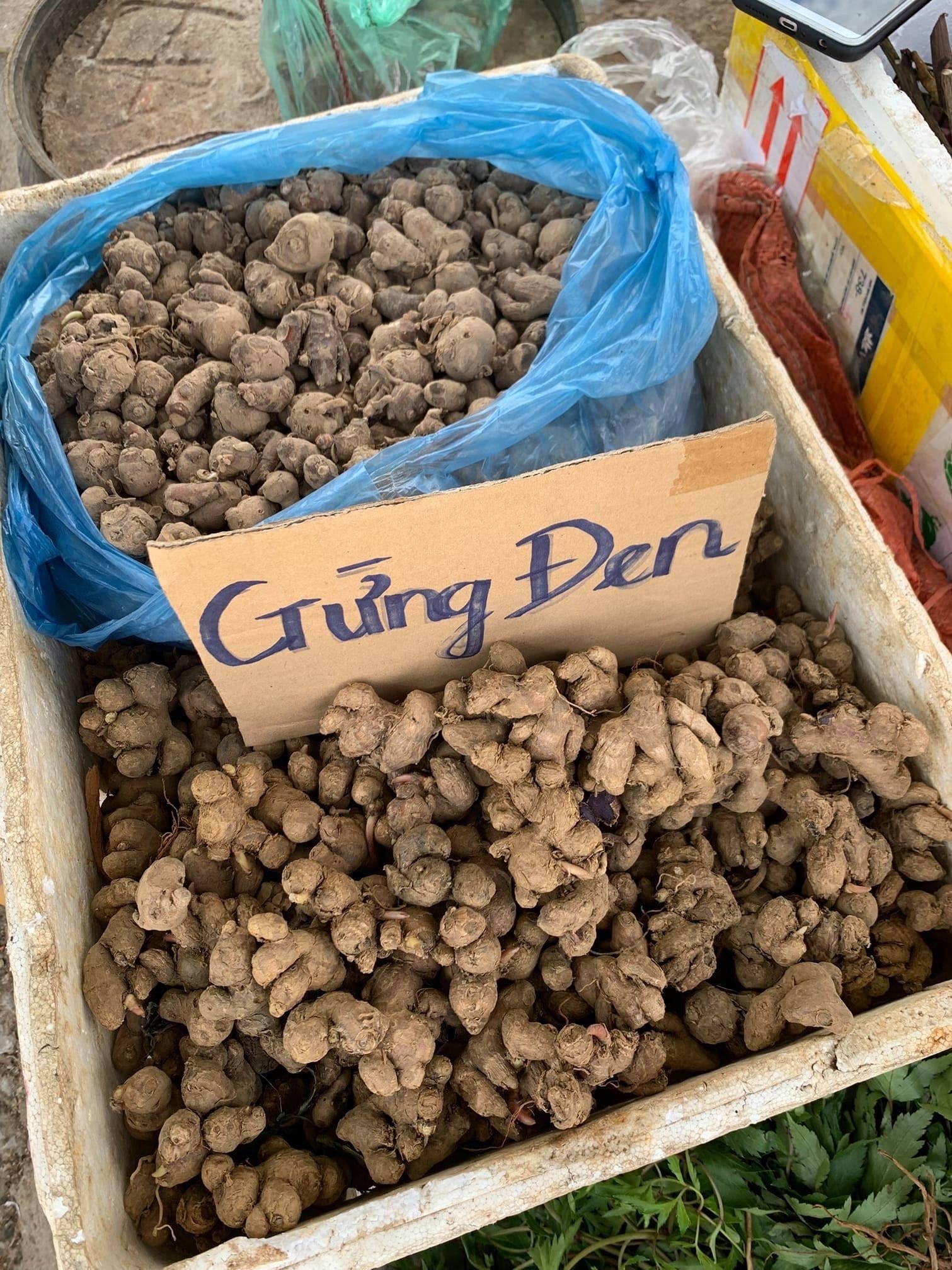 Gừng đen có gì đặc biệt mà giá bán siêu đắt vẫn săn lùng, tranh mua? - 2 Gừng đen có gì đặc biệt mà giá bán siêu đắt vẫn săn lùng, tranh mua? - 2