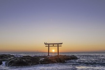 Đến Ibaraki không chỉ để xem, mà còn để cảm nhận tinh thần Nhật Bản