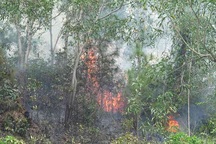 Núi Bà Hỏa “bốc hỏa”, 30 chiến sĩ leo núi dập lửa