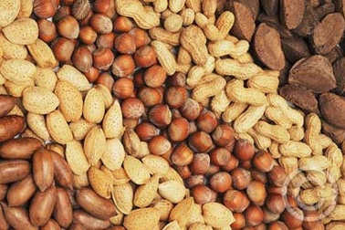 5 câu hỏi thường gặp về bệnh dị ứng thực phẩm