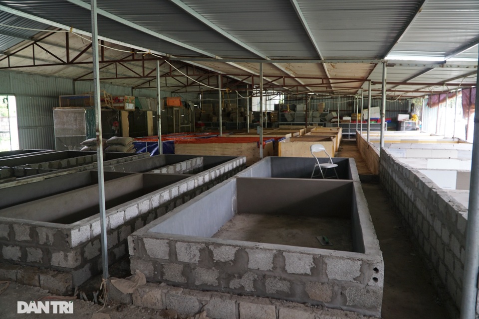 Mục sở thị trang trại nuôi tắc kè hoa “độc nhất” ở Hà Nội - 11 Mục sở thị trang trại nuôi tắc kè hoa “độc nhất” ở Hà Nội - 11