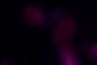 G-Dragon đăng ảnh đêm diễn bùng nổ ở Hà Nội, hẹn gặp lại khán giả tối 9/11