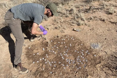 "Da sống" của Trái Đất bị đe dọa từ biến đổi khí hậu