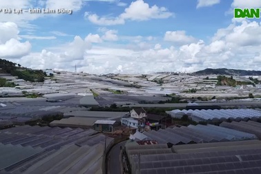 "Vòng kim cô" đang bóp nghẹt Đà Lạt