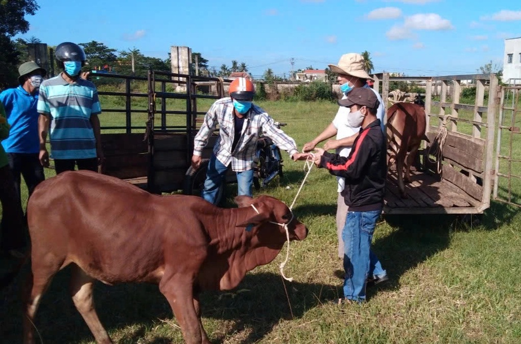 Quảng Ngãi: Hỗ trợ hộ nghèo, cận nghèo phát triển sản xuất - 1 Quảng Ngãi: Hỗ trợ hộ nghèo, cận nghèo phát triển sản xuất - 1