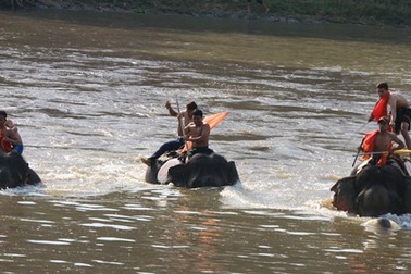 Đến Buôn Đôn chiêm ngưỡng voi thi đá bóng, thi vượt sông