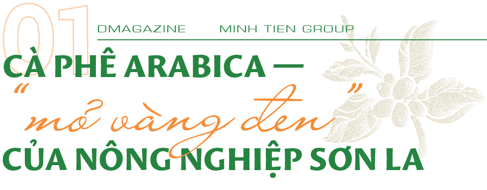 Minh Tien Group chắp cánh thương hiệu cà phê Arabica Sơn La vươn xa - 1 Minh Tien Group chắp cánh thương hiệu cà phê Arabica Sơn La vươn xa - 1