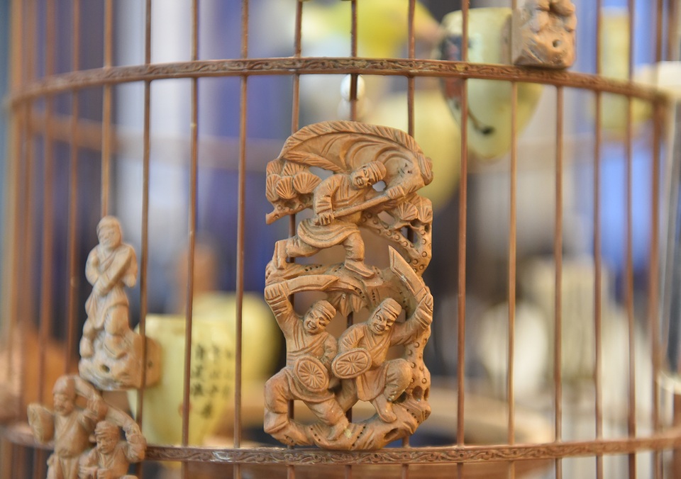 Mãn nhãn với bộ sưu tập chim quý hiếm, giá khủng của vua chim màu Việt - 13 Mãn nhãn với bộ sưu tập chim quý hiếm, giá khủng của vua chim màu Việt - 13